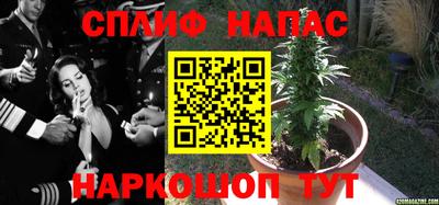 ECSTASY Нарткала