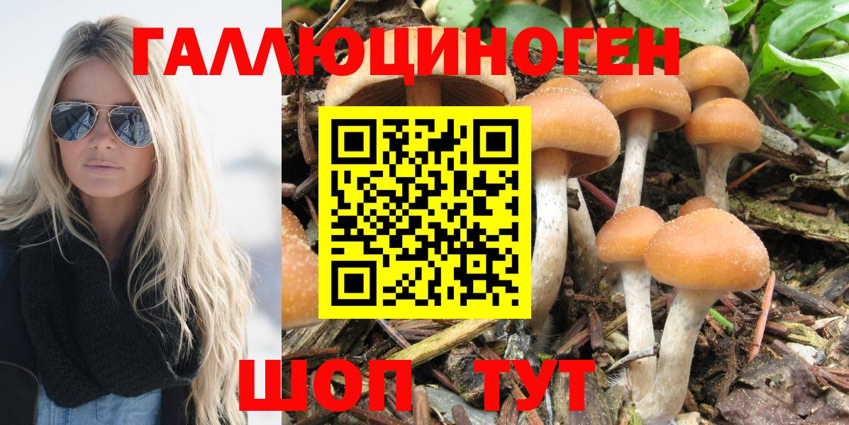 Чистополь  Галлюциногенные грибы Cubensis  Вход с VPN  Галлюциногенные грибы мухоморы 